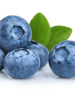 Blueberry shisha flavor price